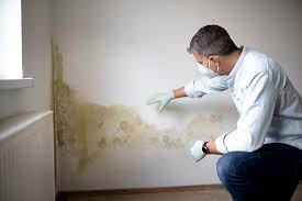 Best Forensic Mold Investigation  in Thornwood, NY